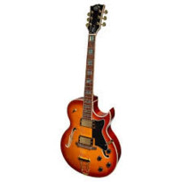 J&D Luthiers Hollow body ES-Style